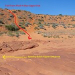 E’ da lì che arriviamo The wash near the upper entrance of Spooky Slot Canyon in Grand Staircase Escalante National Monument in Utah USA