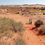 Ed eccolo Spooky The wash near the upper entrance of Spooky Slot Canyon in the Dry Fork of Coyote Gulch in Grand Staircase Escalante NM in Utah USA