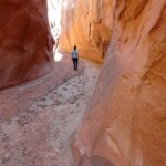 All’inizio la gola si presenta ampia Walking the Dry Fork Narrows in the Dry Fork of Coyote Gulch in Grand Staircase Escalante National Monument in Utah USA