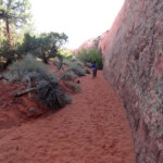 A ridosso della parete rocciosa At the bottom of the Ravine near the entrance of Dry Fork Narrows and Peekaboo Slot Canyon