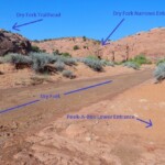 Eccoci nella Dry Fork Dry Fork of Coyote Gulch in Grand Staircase Escalante NM in Utah USA