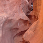 Un ultimo momento magico Inside the slot not far from the end of Peek-A-Boo Gulch in the Dry Fork of Coyote Gulch in Grand Staircase Escalante NM in Utah USA