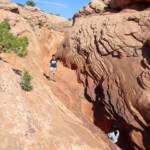 No, non è la fine Open section of Peek-A-Boo Slot Canyon the Dry Fork of Coyote Gulch in Grand Staircase Escalante NM in Utah USA