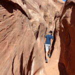 Di nuovo dentro The last slot section of Peek-A-Boo Gulch in the Dry Fork of Coyote Gulch in Grand Staircase Escalante NM in Utah United States of America