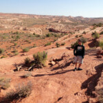 Sul sentiero Trail between the Dry Fork Trailhead and the bottom of Dry Fork in Grand Staircase Escalante NM in Utah USA