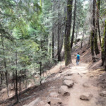 Poi il sentiero entra nel bosco Panorama Trail near Illilouette Creek Yosemite NP California USA