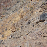 Riesco solo a fotografarle da lontano con lo zoom About twenty Bighorn Sheep near Klare Springs in Titus Canyon in Death Valley National Park California
