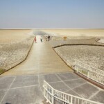 Una passerella di legno si allunga verso la piana di sale… Badwater Parking Area Death Valley National Park California USA