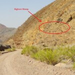 Ed improvvisamente… Bighorn Sheep above Klare Springs in Titus Canyon in Death Valley National Park California