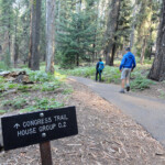Ci avviciniamo alla Camera... Congress Trail near The House Group Sequoia NP California USA