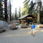 Iniziamo senza indugi la passeggiata General Sherman Tree Trailhead Sequoia NP California USA