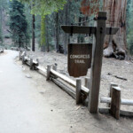 Tu invece non esitare… Start of the Congress Trail Sequoia NP California USA