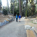 Ma ce la fanno quasi tutti… Walking path to General Sherman Tree Sequoia NP California USA
