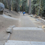 Questo è il posto più frequentato del parco Walking trail to General Sherman Tree Sequoia NP California USA