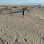 Non siamo soli Following the traces in the sand to Mesquite Flat Dunes Death Valley National Park California USA