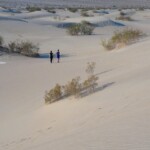 Sulla via del ritorno In the middle of Mesquite Flat Sand Dunes Hike Death Valley National Park California USA