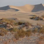 Sinuose ed invitanti… Mesquite Flat Dunes Death Valley National Park California USA