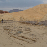 Passiamo sotto Zabriskie Point Under Zabriskie Point Badlands Loop Death Valley National Park California USA