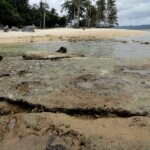 E qui tra le rocce vediamo anche un serpente… A Sea Snake at Pinagbuyutan Island, Bacuit Bay, El Nido, Palawan, Philippines