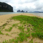 Lagen Sandbank Sandbank near Lagen Island, Bacuit Bay, El Nido, Palawan