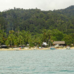 Spiaggia e Foresta... The Forest and the Main Beach of Port Barton, Palawan, Philippines