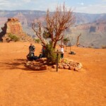 Grand Canyon National Park, Cedar Ridge, Arizona