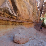 Exit of Third Slot Section of Little Wild Horse Canyon in the San Rafael Swell Utah United States of America