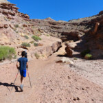 First Dryfall in the Wash between the Trailhead and the Meeting Point of Bell with Little Wild Horse Canyon
