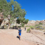 First section of the hike to Little Wild Horse Canyon in the San Rafael Swell Utah USA