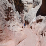 Inside Third Slot Section of Little Wild Horse Canyon in the San Rafael Swell Utah United States of America