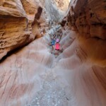 Meeting a Family with Kids inside Little Wild Horse Slot Canyon in the San Rafael Swell Utah USA