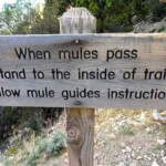 Grand Canyon National Park, Mules Warning, South Kaibab Trail, Arizona