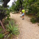 Il Rim Trail tra The Abyss e Mohave Point Rim Trail from the Abyss and Mohave Point Grand Canyon National Park