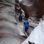 The Dark Section of Little Wild Horse Canyon in the San Rafael Swell Utah USA