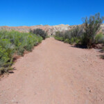 The wash near Little Wild Horse Canyon Trailhead in the San Rafael Swell Utah USA