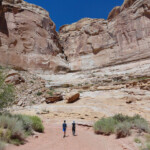 Upper Section of Little Wild Horse Canyon in the San Rafael Swell Utah United States of America