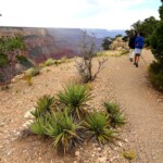 In cammino Starting the Rim Trail from The Abyss to Mohave Point Grand Canyon National Park