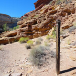 Wooden Sign pointing to Bell Canyon or to Little Wild Horse Canyon in the San Rafael Swell Utah USA