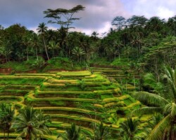 I Migliori Tours Organizzati a Bali I Migliori Tours Organizzati a Bali