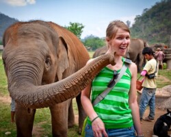 Le Migliori Escursioni Etiche per Vedere gli Elefanti a Chiang Mai nel Nord della Thailandia