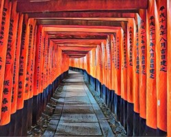 I Migliori Tours a Kyoto Guida alle Migliori Escursioni Organizzate a Kyoto
