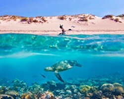 Le Migliori Escursioni da Hurghada Le 12 Più Belle Escursioni a Hurghada